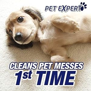 RESOLVE PET CARPET - ULTRA Stain & Odor Remover 