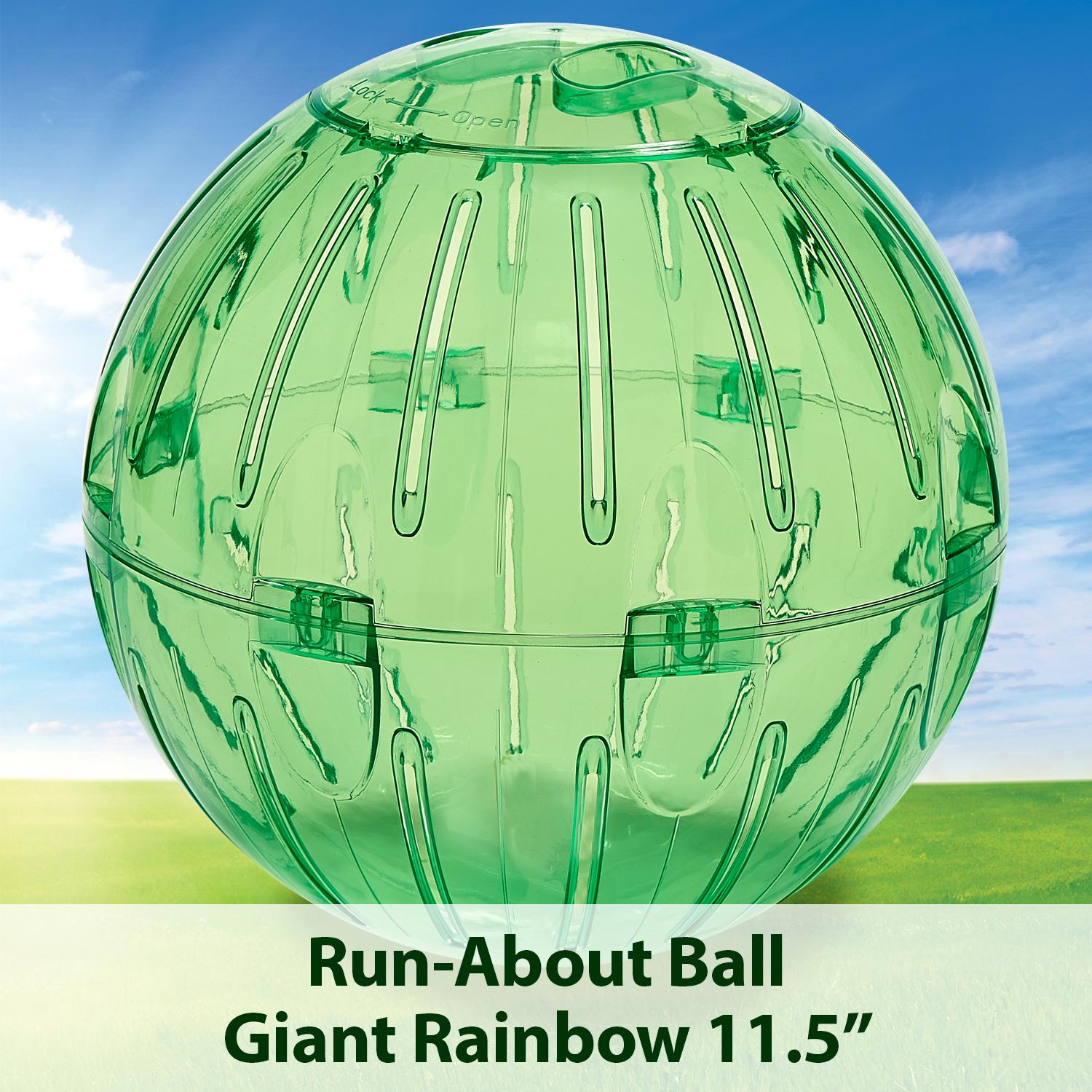 Kaytee Giant RunAbout Exercise Ball, 11.5Inches, Colors Vary Amazon