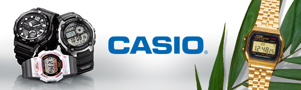 Casio Header
