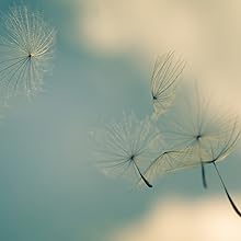 aer conditionat, pinguin, aer conditionat portabil, aer conditionat, aparate de aer conditionat