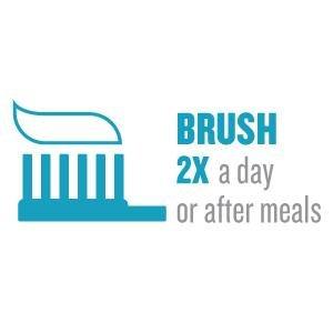 Brush 2x a Day