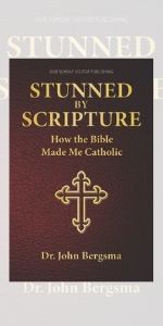Stunned by Scripture