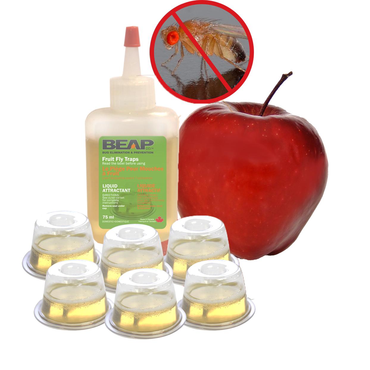 BEAPCO 6Pack DropIns Fruit Fly Traps Home Pest Control