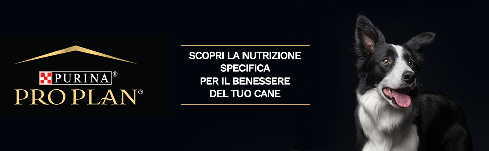 Scopri la nutrizione specifica per il benessere del tuo cane