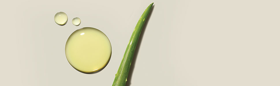 everyday ingredients