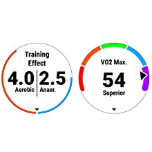 Training Performance Metrics