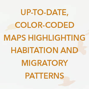 bird watching, bird books, birding, bird identification, nature guide