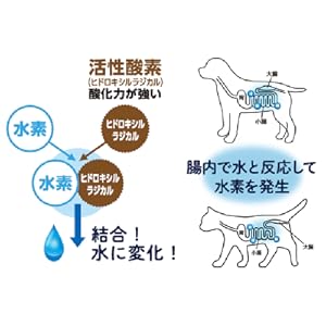 ラスト1/THEPERFECT ONE ソフト チキン 7歳以上用 500g×4 Amazon.co.jp: サンライズ マルカン ドッグフード THE・PERFECT