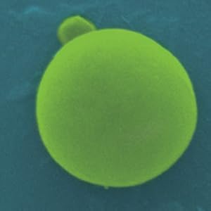 Small manufacture image 3
