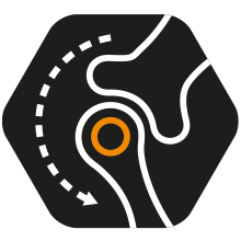 Icona aiuta a supportare la salute delle articolazioni, per lo stile di vita attivo del tuo cane