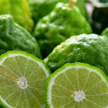 Bergamot