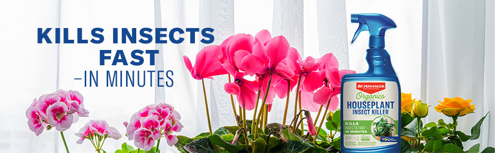 22+ Indoor Plant Insect Killer