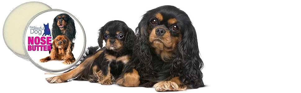 The Blissful Dog Black Tan And Ruby Cavalier Nose Butter 4 Ounce