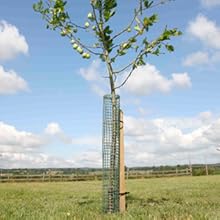 Small manufacture image 4