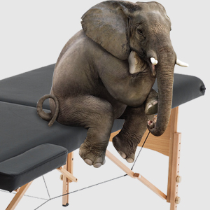 Massage Table