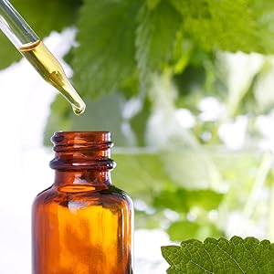 Herbal extract, quality, concentration, formula, standards, nature's answer