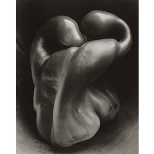 Edward Weston 写真集 Amazon.com: Edward Weston: 9781623261153: Weston, Edward