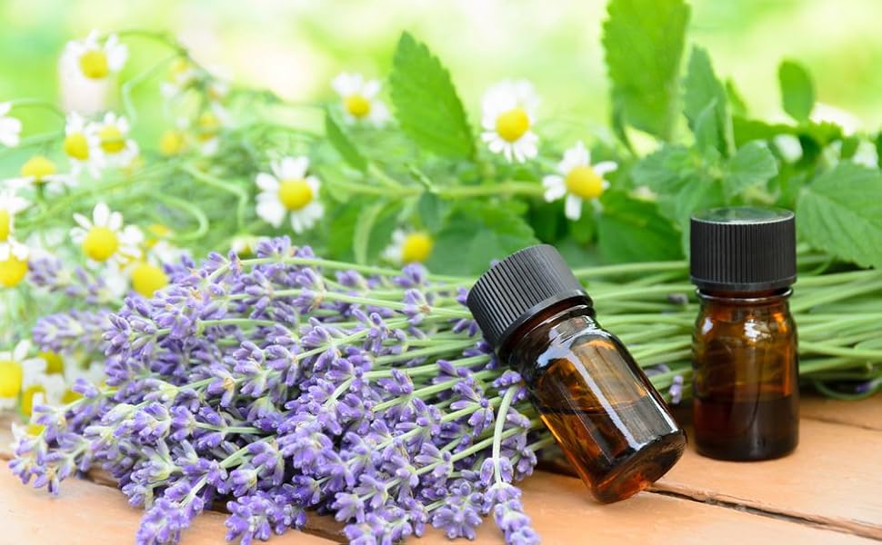 Mezcla para difusor Sueño Prana BB: Amazon.es: Salud y cuidado ...