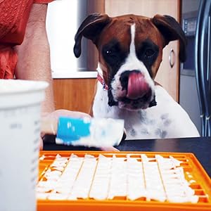 boxer dog, pet treat, lickimat, dog food, 