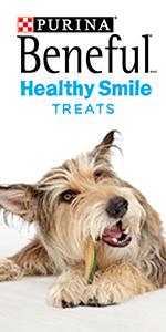 Amazon.com: Purina Beneful Grain Free, Natural Dry Dog