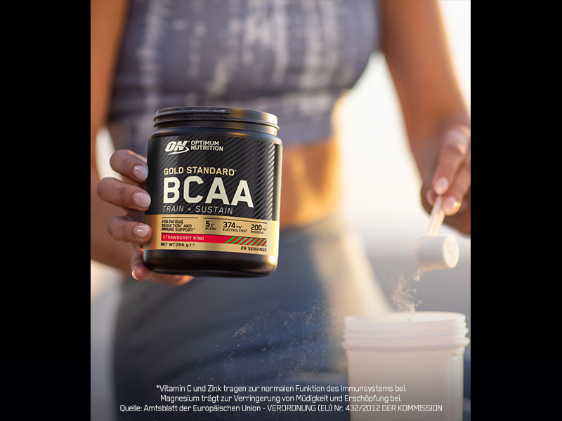 Optimum Nutrition Gold Standard BCAA Pulver, Aminosäuren Komplex