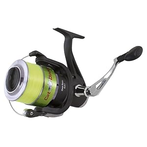 lew's cat daddy spinning combo