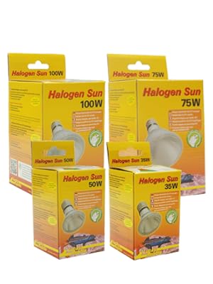 Die Halogensonne.