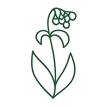 comfrey herb emoji