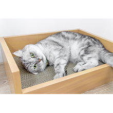 Amazon.co.jp: ペットプロ キャットベッド 本体 爪とぎ付 ゴミが