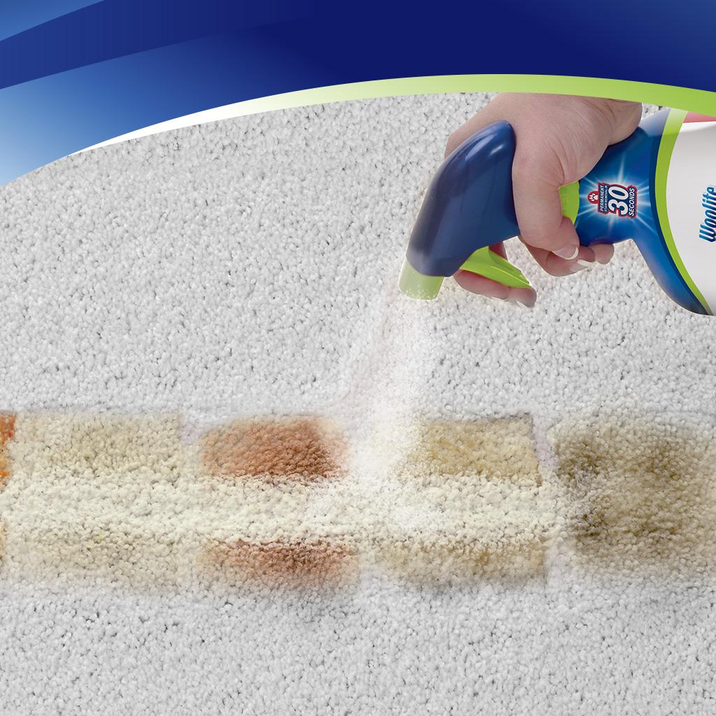 Woolite INSTAclean Pet Stain Remover, 1684 Home & Kitchen