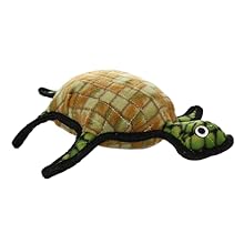 tuffy turtle