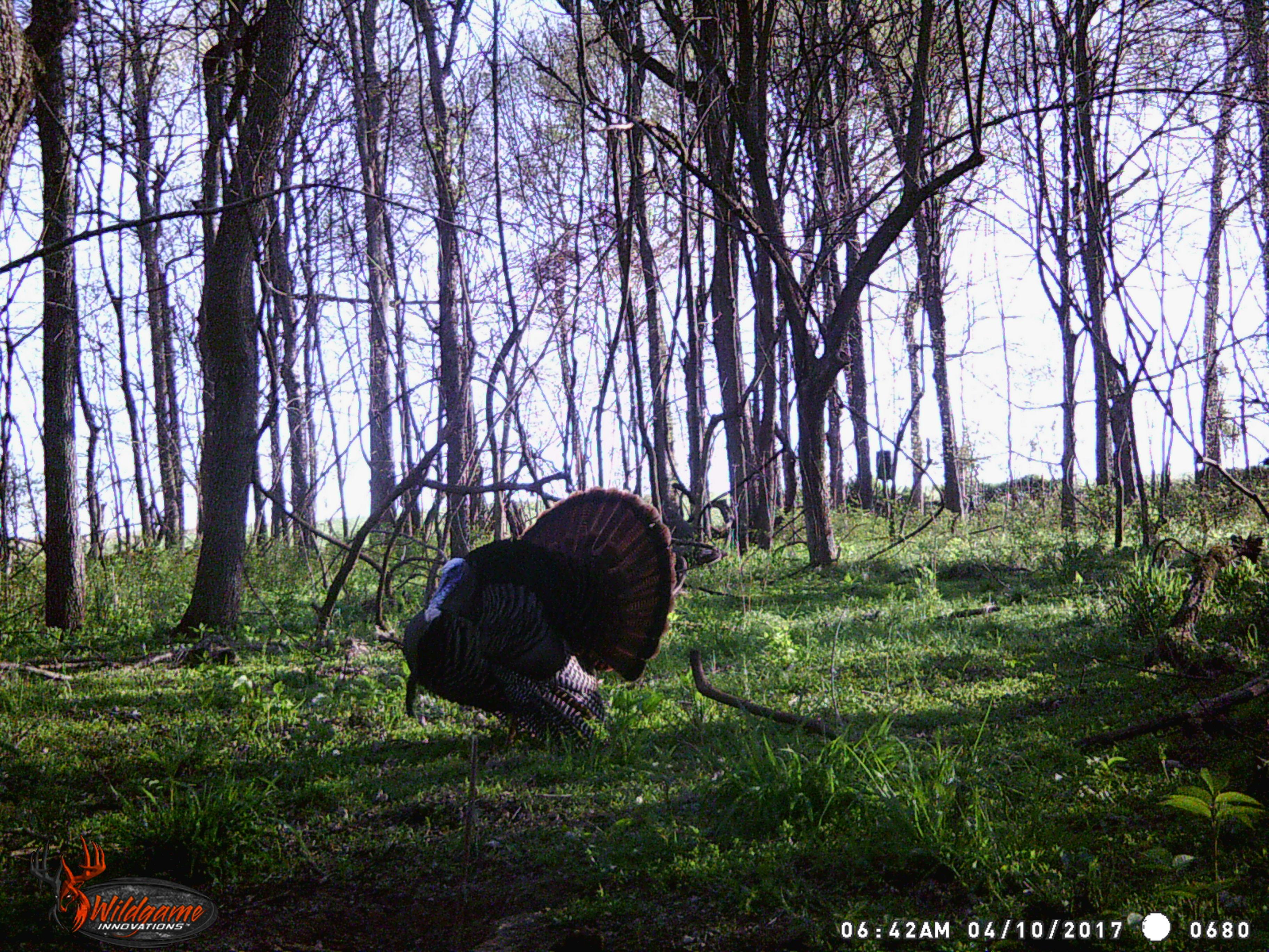 Wildgame Innovations Cloak Pro 12 Invisible Flash with