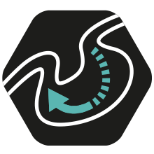 Icona digestione sensibile