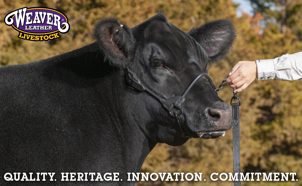 Weaver Livestock Leather Magic Show Cattle Halter