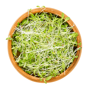 collagen type I III green beauty nails skin hair joints mobility probiotics grass fed keto paleo