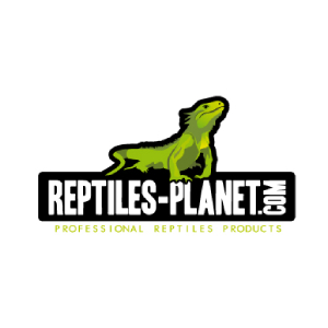 Reptiles Planet
