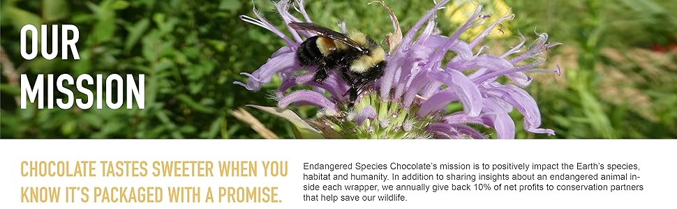 Endangered Species Chocolate Oat Milk Sea Salt Almonds Dark Cocoa Vegan Gluten Free Candy Bar Kosher