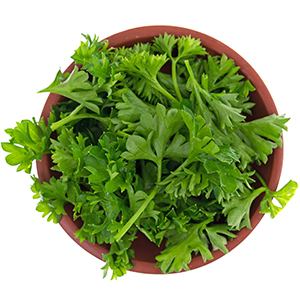 collagen type I III green beauty nails skin hair joints mobility probiotics grass fed keto paleo