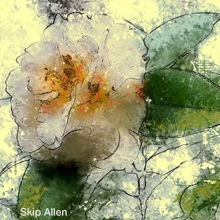 digitalart;digitalpainting;photoart;photopainting;digitalpainting;digitalartforbeginners;professiona