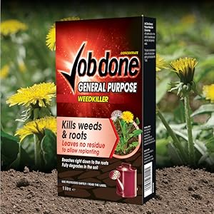 General Purpose Conc 1L