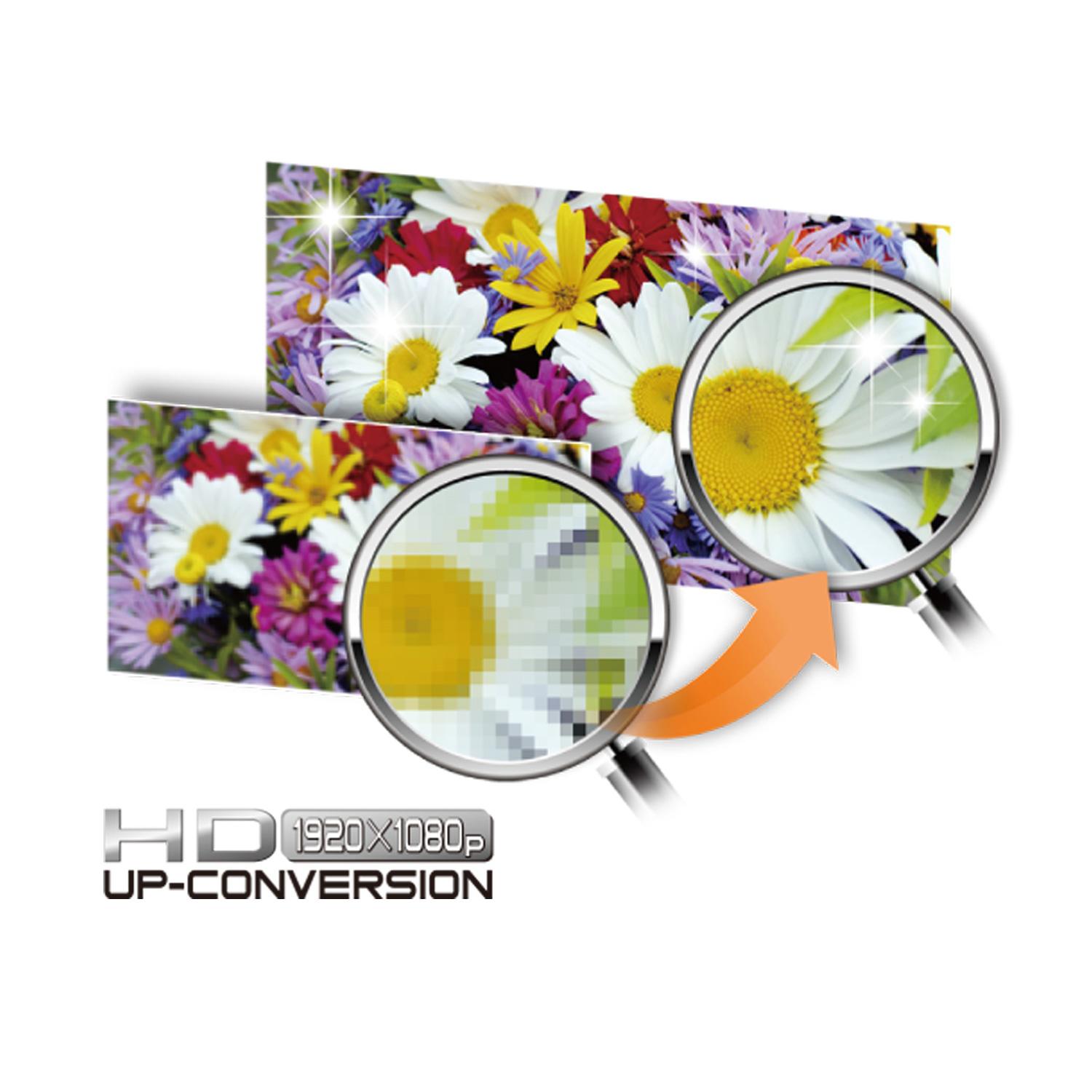 Panasonic DVDS48 Progressive Scan DVD Player Electronics