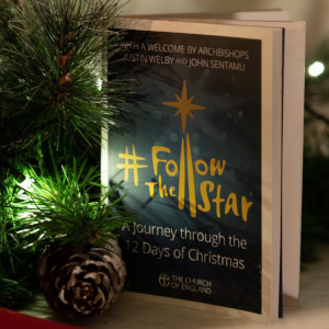 Christmas 2022 Follow The Star Follow The Star (Pack Of 10): A Journey Through The 12 Days Of Christmas:  Amazon.co.uk: Hamley, Isabelle, Welby, Archbishop Justin, Sentamu,  Archbishop John: 9781781401064: Books
