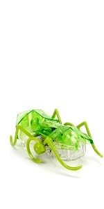 HEXBUG ヘックスバグ 戦場付き バトルスパイダー (2個セット) Amazon | HEXBUG ヘックスバグ バトルスパイダー (2個セット