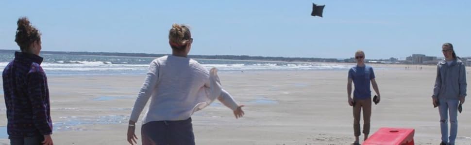 Driveway Games All Weather Cornhole Bean Bag Set