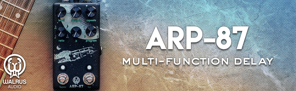 ARP-87 Multi-Function Delay : Amazon.ca: Musical Instruments