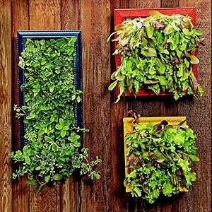 Small manufacture image 8