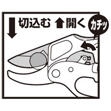 Amazon | 千吉 レディース ラチェット 剪定鋏 SGP-27R | 園芸用