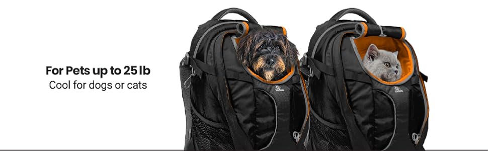 dog backpack, cat backpack, pet carrier