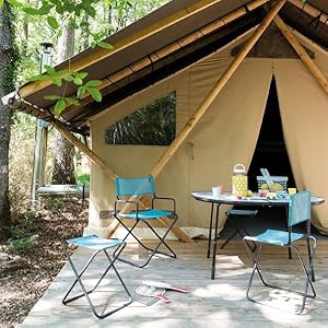 Amazon.co.jp: ラフマ(Lafuma) アウトドア用 ディレクターズ チェア