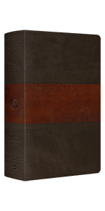 ESV Large Print Personal Size Bible, TruTone, Forest/Tan, Trail Design